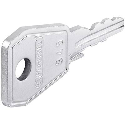 Schlegel ESE845 Reserve sleutel    RVS 10 stuk(s) 