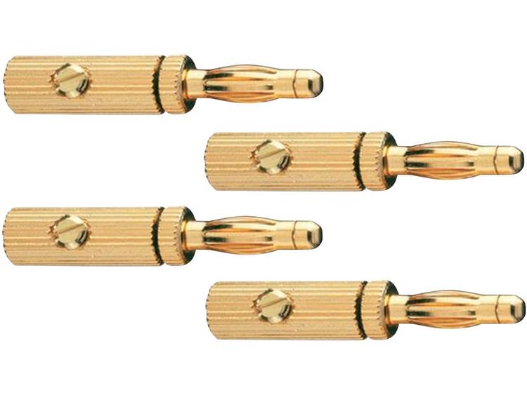 Luidsprekerconnector Stekker, recht Aantal polen: 3 Goud Oehlbach Banana Pin-B3 4 stuks