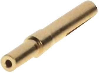 Een gouden metalen stiftcontact.