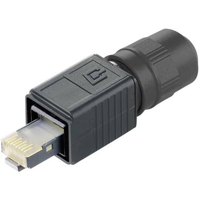 'Connectoren voor industriële netwerktoepassingen' – Een robuuste stekkerverbinding met meerdere contactpinnen, geschikt voor Ethernet-overdrachten.