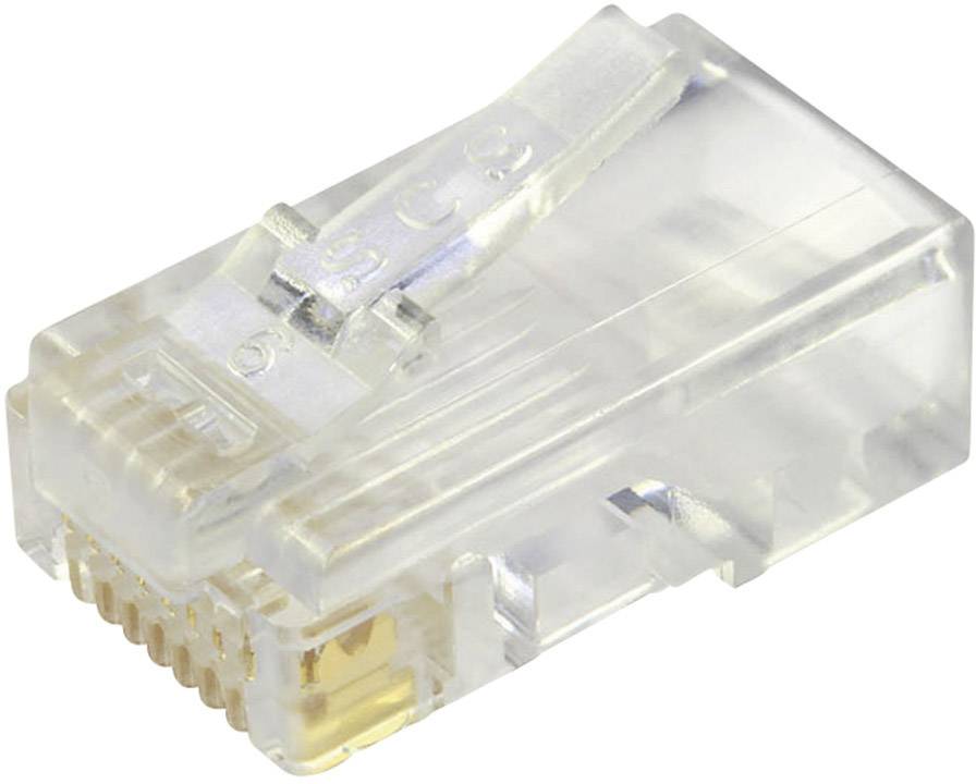 Een enkele RJ45-stekker met een transparante kunststof behuizing en goudkleurige contacten, gebruikt voor Ethernet-verbindingen.