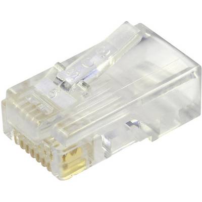 Een enkele RJ45-stekker met een transparante kunststof behuizing en goudkleurige contacten, gebruikt voor Ethernet-verbindingen.