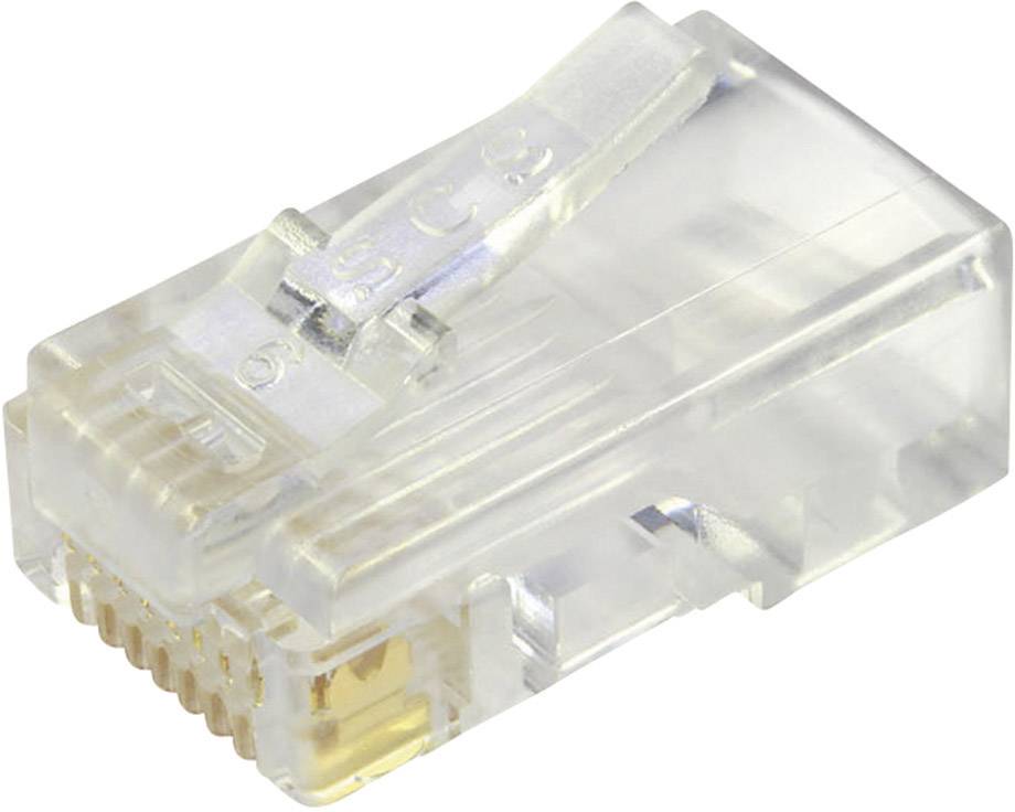 Een transparante RJ45-netwerkaansluiting die wordt gebruikt voor Ethernet-kabels, met acht zichtbare goudkleurige contacten.