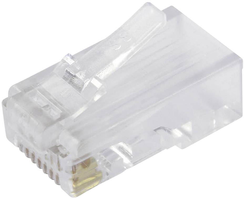 Een transparante RJ-45-netwerkstekker, typisch gebruikt voor Ethernet-kabels.