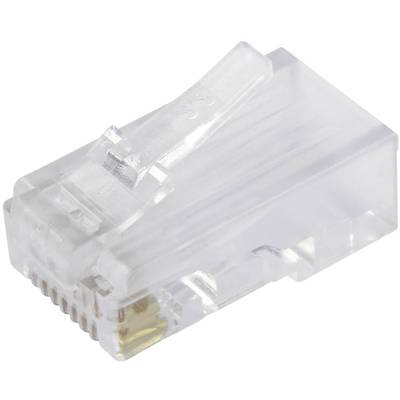 Een transparante RJ-45-netwerkstekker, typisch gebruikt voor Ethernet-kabels.