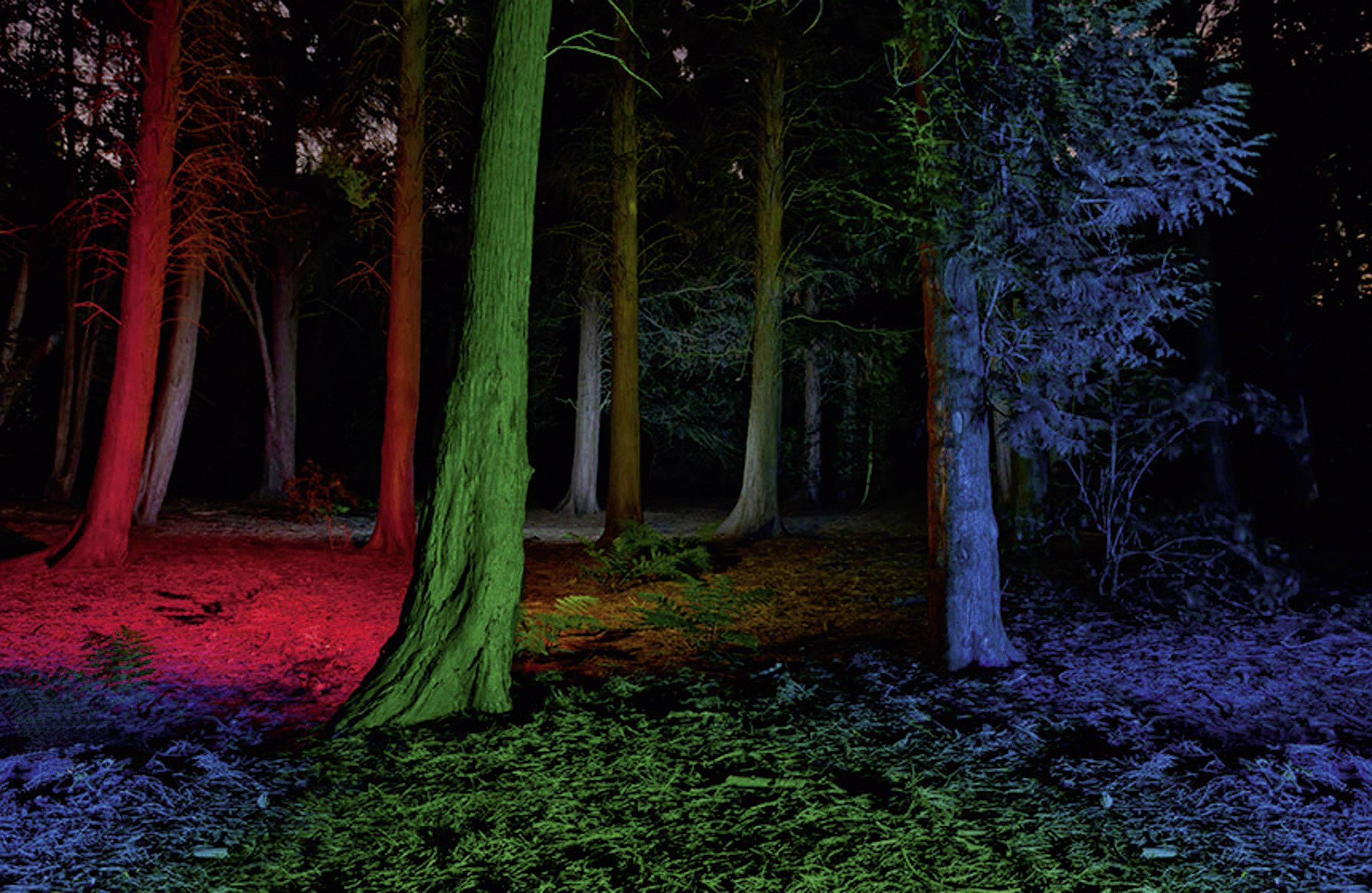 Ledlenser P7QC Zaklamp werkt op batterijen LED 220 lm 25 h 175 g-3