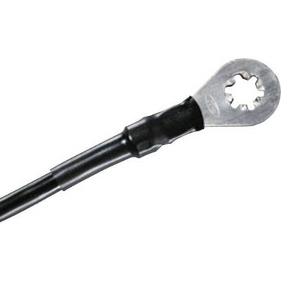 Een zwarte kabel met een zilverkleurige ringvormige aansluiting.