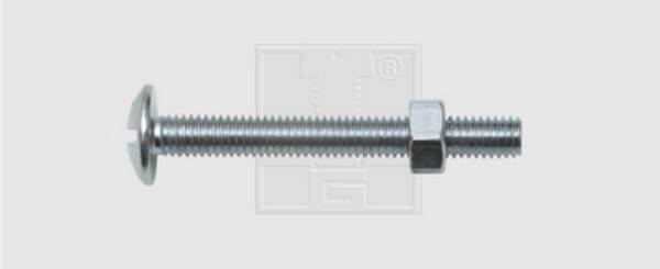 SWG  224053010 Montageschroeven M5 30 mm Buitenzeskant    Staal Verzinkt 100 stuk(s)