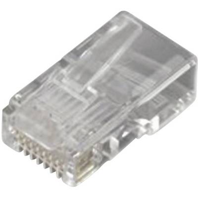 Een transparante RJ45-stekker, kenmerkend voor Ethernet-kabelverbindingen. Hij toont gouden contacten en is geschikt voor netwerken.