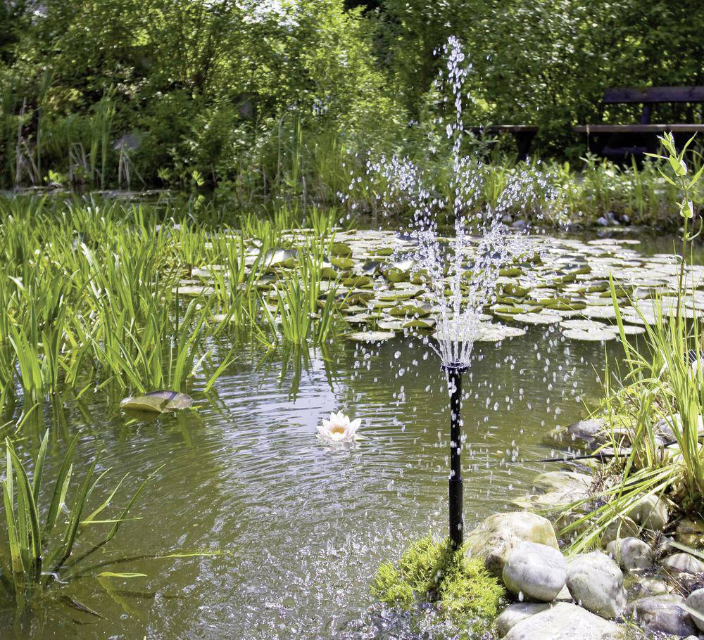 Fontein spuit water in een vijver met waterplanten en waterlelies, omgeven door weelderig groen; vredige tuinscène.