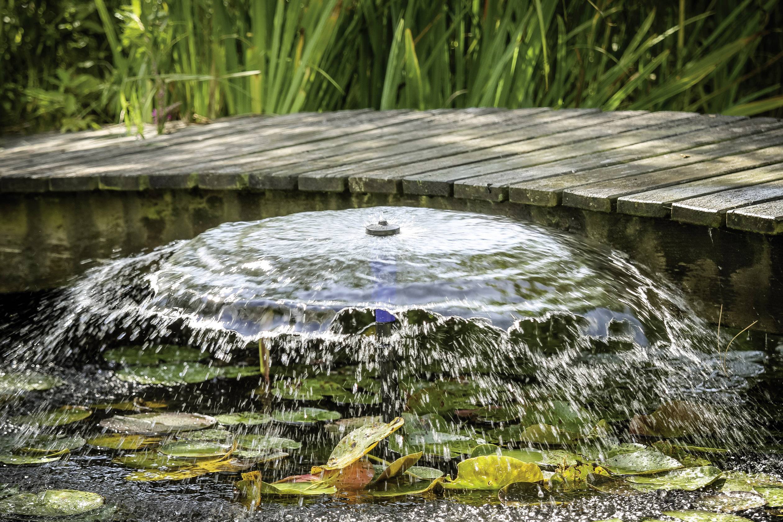 Fontein met waterstraal in een vijver met waterlelies, omgeven door een houten steiger en hoge grassen.