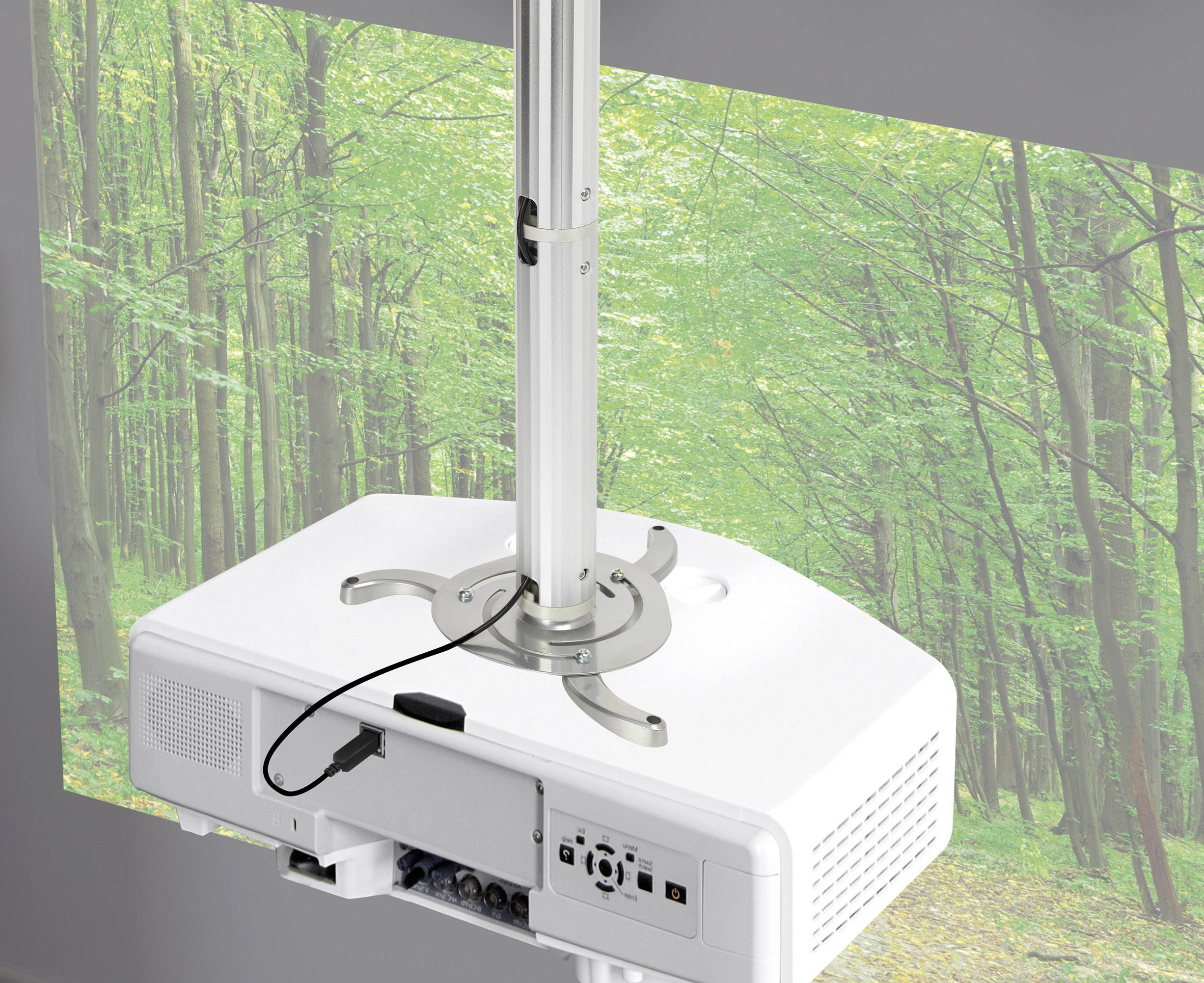 Een projector aan een plafondbeugel projecteert een beeld van een groen bos op een scherm.