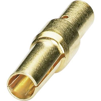 Gouden stiftcontact, cilindrische vorm, voor gebruik in elektrische connectoren.
