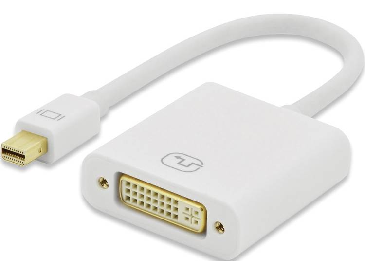 ednet DisplayPort-DVI Adapter [1x Mini-DisplayPort stekker <=> 1x DVI-bus 24+5-polig] Zwart