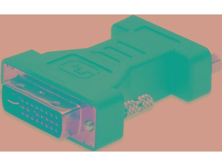 ednet DVI-VGA Adapter [1x DVI-stekker 24+5-polig <=> 1x VGA bus] Zwart