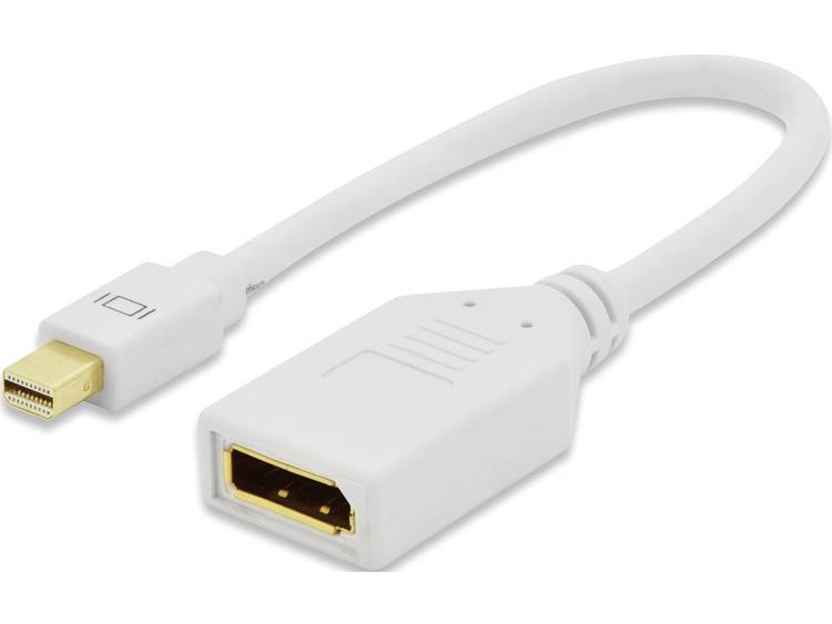 ednet DisplayPort Adapter [1x Mini-DisplayPort stekker <=> 1x DisplayPort bus] Wit
