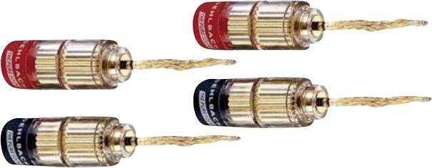 Vier gouden bananenstekkers met rood en zwart gemarkeerde hulzen liggen naast elkaar. Ze zijn bedoeld voor het aansluiten van luidsprekerkabels.