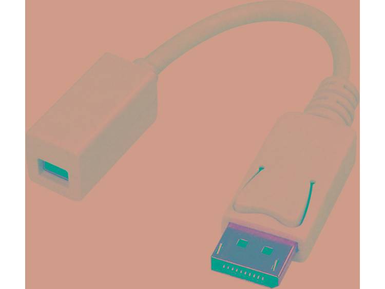 LogiLink DisplayPort Adapter [1x Mini-DisplayPort bus => 1x DisplayPort stekker] Wit