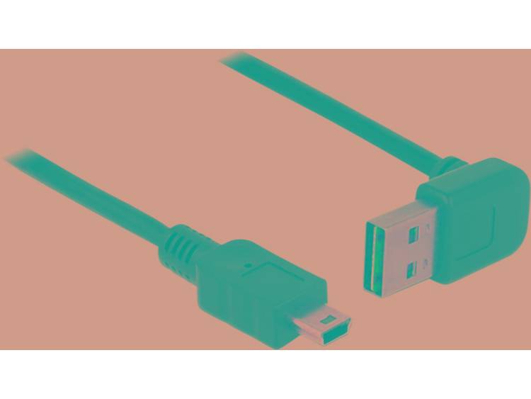 Delock USB 2.0 Aansluitkabel [1x USB 2.0 stekker A 1x USB 2.0 stekker mini-B] 2 m Zwart Stekker past