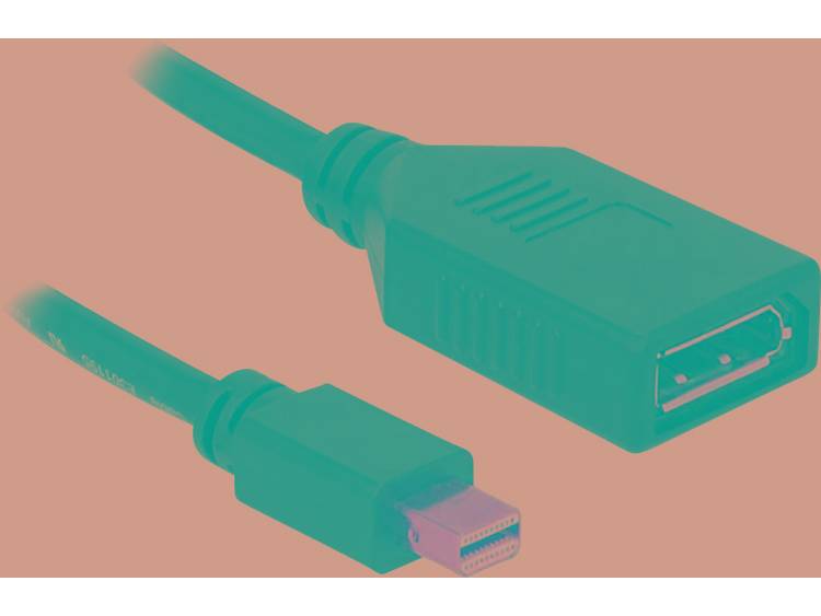 Delock DisplayPort Adapter [1x Mini-DisplayPort stekker <=> 1x DisplayPort bus] Zwart