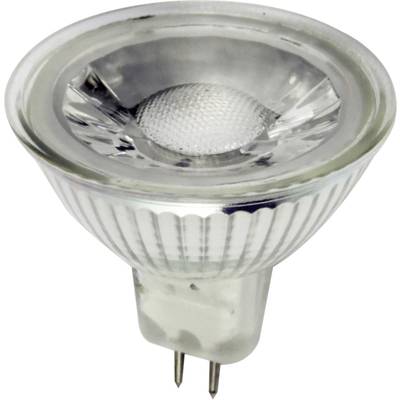 Halogeen-reflectorlamp met twee metalen pinnen voor bevestiging. De lamp heeft een transparante glasoppervlakte en een reflecterende binnenkant.