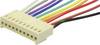 econ connect PS20 Female header met kabel Totaal aantal polen: 20 Rastermaat: 2.54 mm Inhoud: 1 stuk(s)