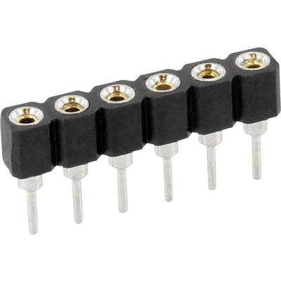 Een zwarte pinconnector met zes verticale metalen pinnen voor elektronische verbindingen.