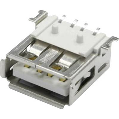 Een rechthoekige USB-aansluiting met zichtbare metalen contacten en kunststof isolatie, weergegeven van opzij.