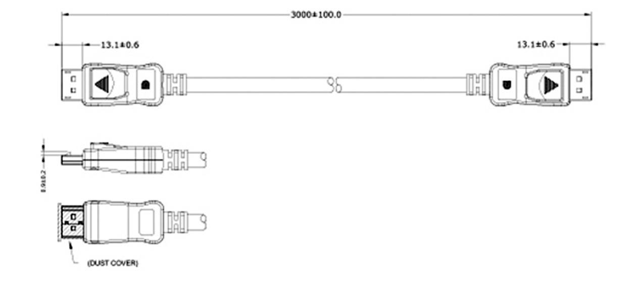 Tekening van een kabel met USB-stekkers aan beide uiteinden, lengte 3000±100 mm. Zijaanzicht en doorsnede van de stekkers weergegeven.