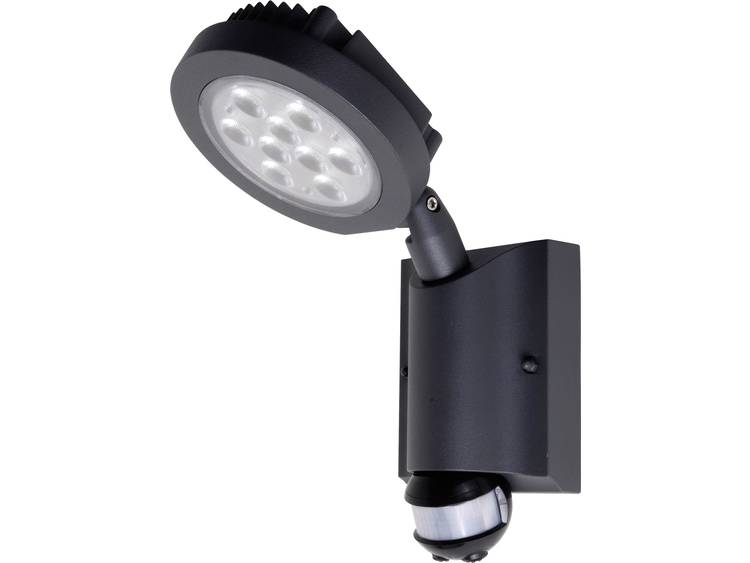 ECO-Light LED buitenschijnwerper met bewegingsmelder 24 W Koud-wit Nevada 6102S-PIR gr