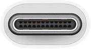 Apple USB Adapter [1x USB-C stekker - 1x USB 3.2 Gen 1 bus A (USB 3.0)] USB-C / USB Adapter-1