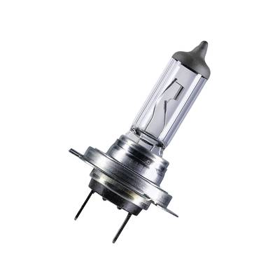 Een enkele halogeenlamp met twee metalen pennen, geschikt voor gebruik in autokoplampen of andere verlichtingstoepassingen.