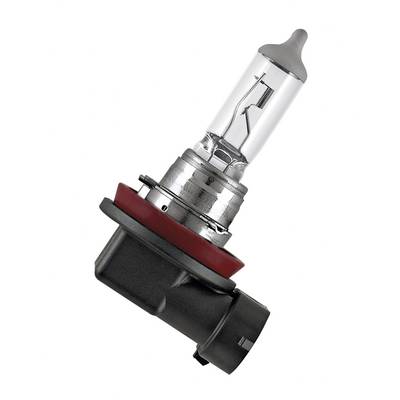 Een enkele halogeenlamp voor autokoplampen, met een transparante glazen behuizing en een zwarte voet.