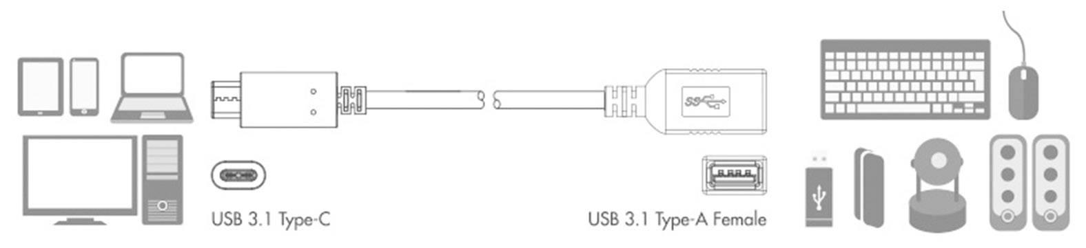 USB 3.1 Type-C-stekker verbindt zich met een USB 3.1 Type-A-aansluiting. Links zijn apparaten zoals smartphone, tablet, laptop, monitor. Rechts toetsenbord, muis, speakers.