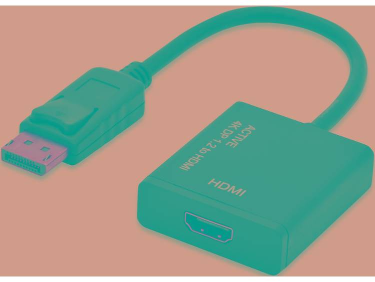 DisplayPort-HDMI HaakseAdapter [1x DisplayPort stekker => 1x HDMI-bus] 0.20 m Zwart ednet