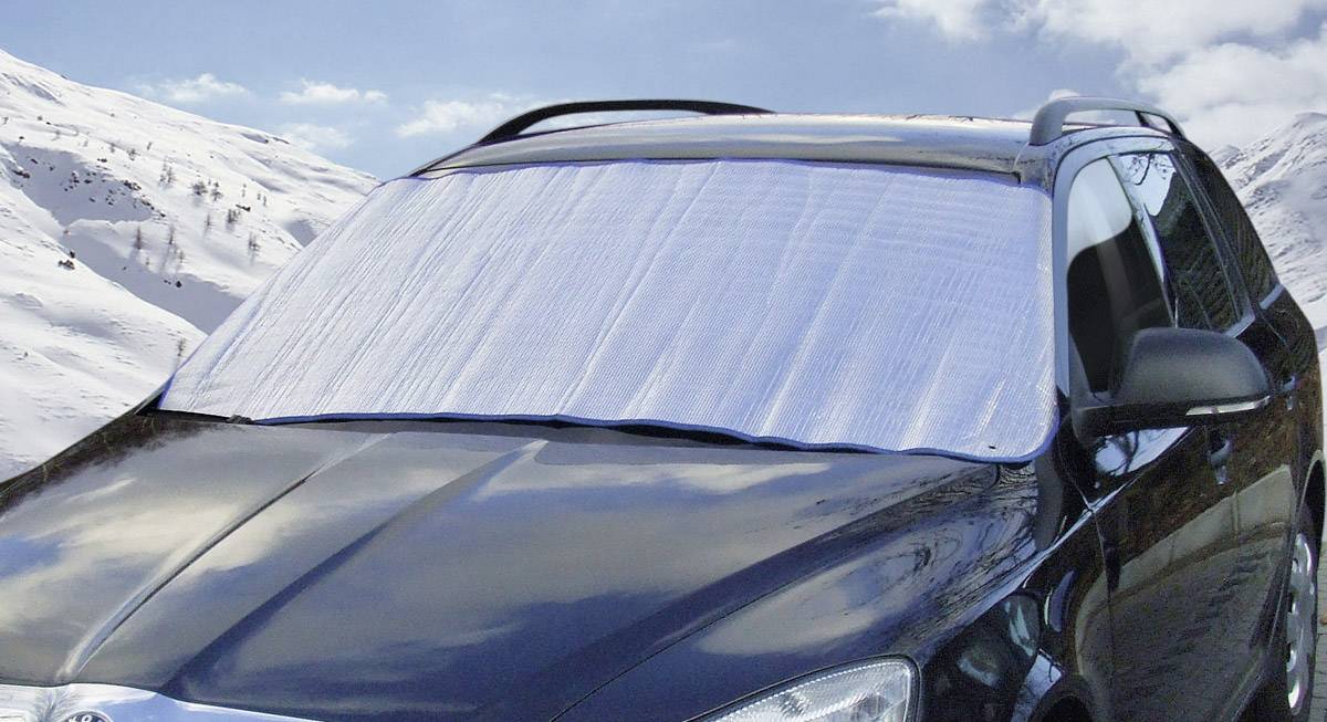 Een zwarte auto met een zilveren vorstbescherming op de voorruit staat voor een met sneeuw bedekte bergachtergrond.