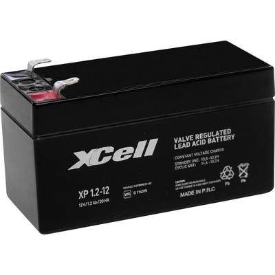 'Zwarte, ventielgeregelde loodaccu van XCell, model XP 12-12, 12V 12Ah, vervaardigd in P.R.C., met specificaties erop gedrukt.'