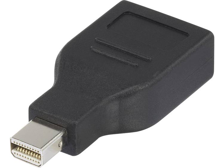 renkforce DisplayPort Adapter [1x Mini-DisplayPort stekker => 1x DisplayPort bus] Zwart