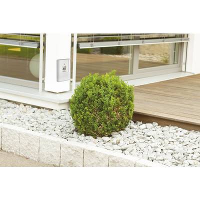 Een struik op een met stenen bedekt perk voor een modern gebouw met een houten terras en grote ramen.