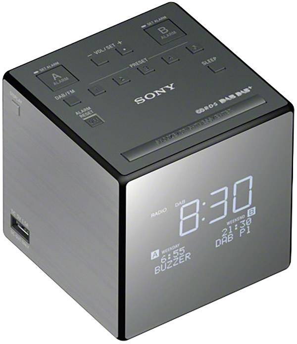 Sony XDR-C1DBP zilver / zwart