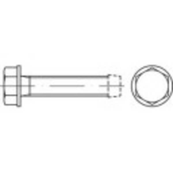 TOOLCRAFT 141137 Tapbouten M8 30 mm Buitenzeskant DIN 7500 Staal Galvanisch verzinkt 500 stuk(s)