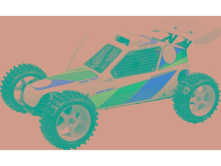 FG Modellsport 1:6 RC auto Benzine Buggy 2WD RTR 2,4 GHz
