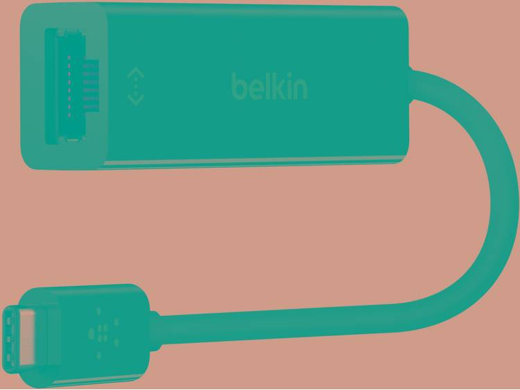 Belkin USB 3.1 Type C to Ethernet Adapter (F2CU040btBLK)