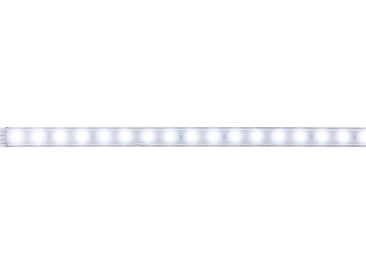 Daglicht-wit LED-strip uitbreidingsset Met stekker 24 V 100 cm Paulmann MaxLED 70664