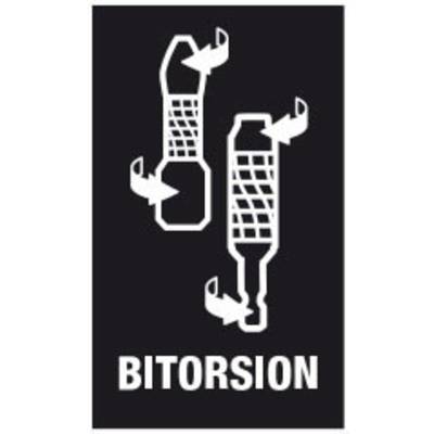 Twee witte bit-sleutels op een zwarte achtergrond met het woord 'BITORSION' eronder.