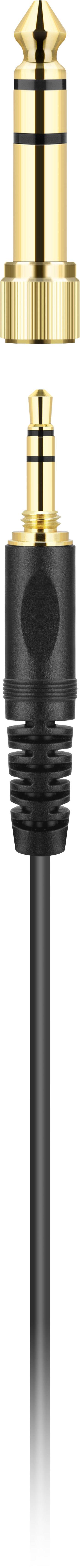 'Een RCA-stekker met gouden aansluiting en zwart kabel.'