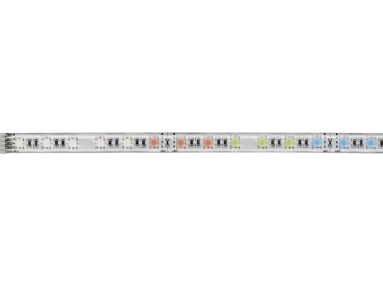 RGB, Warmwit LED-strip uitbreidingsset Met stekker 24 V 50 cm Paulmann 70633