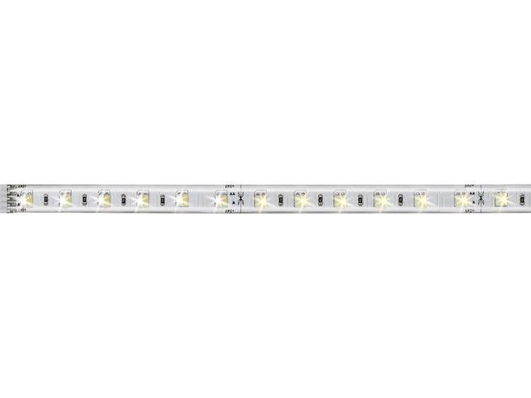 Warmwit, Neutraal wit, Daglicht-wit LED-strip uitbreidingsset Met stekker 24 V 50 cm Paulmann 70629