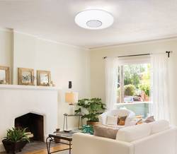 Renkforce Rubi 1463766 Led Plafondlamp Met Luidspreker 32 W Warm Wit Wit