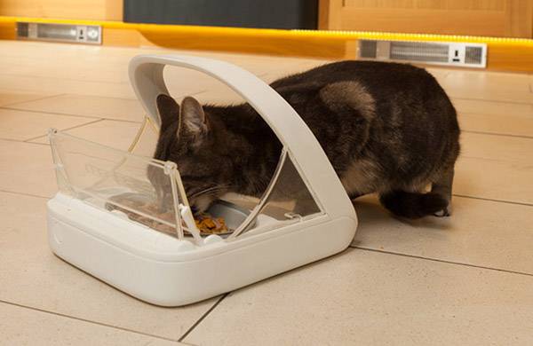 Een kat eet uit een automatische voerbak op een betegelde vloer in een huiselijke omgeving.